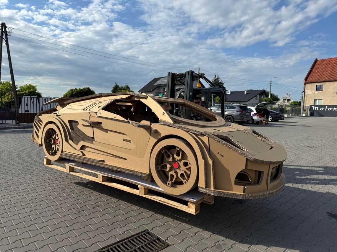 Takie cuda z... kartonu!