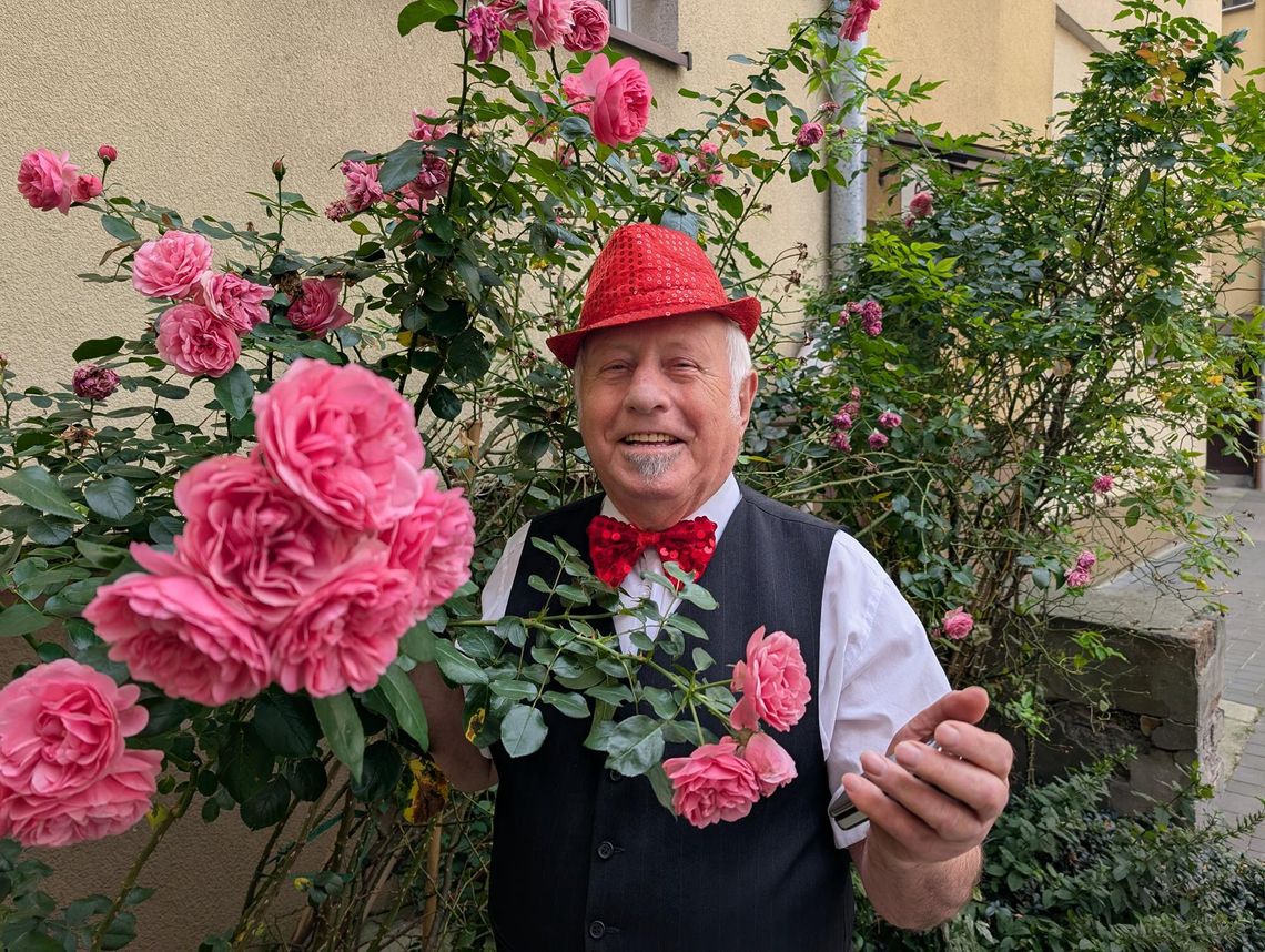 Tedi już nie ma tylu róż Tedi już nie ma tylu róż