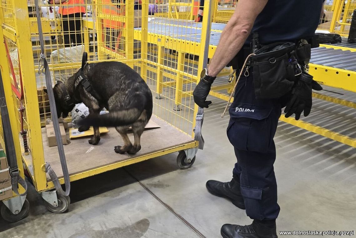 Teraz narkotyki przychodzą po prostu paczką. Policja się nie poddaje...