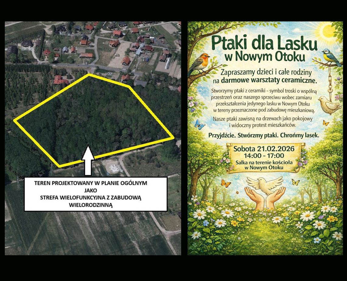 To będzie niezwykły protest w obronie tego lasku! To będzie niezwykły protest w obronie tego lasku!