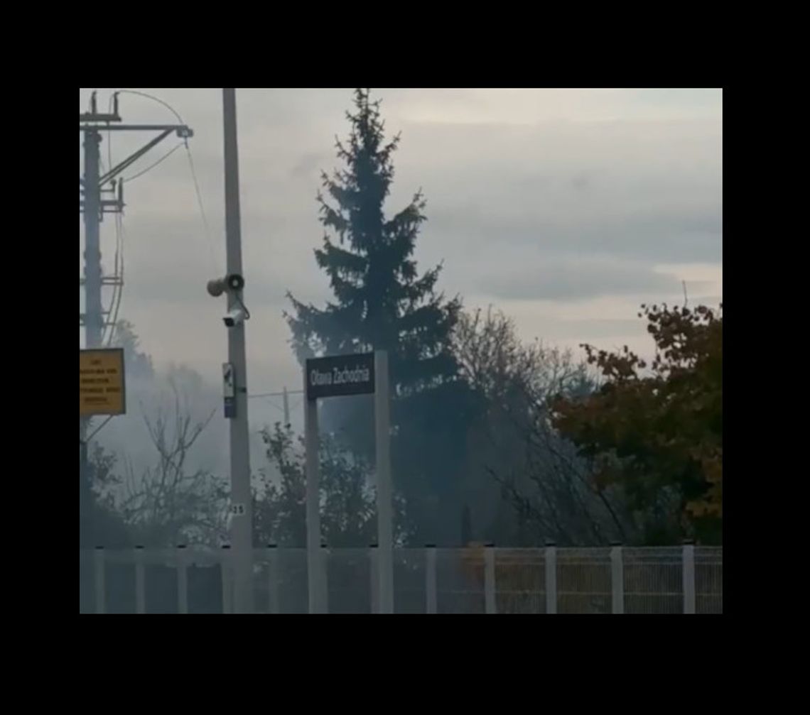 To była podróż ze smrodem dymu z działek!