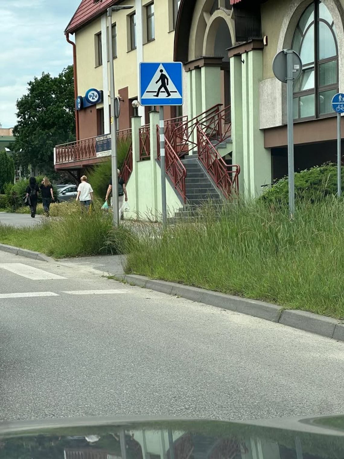 Trawa w niektórych miejscach po pas