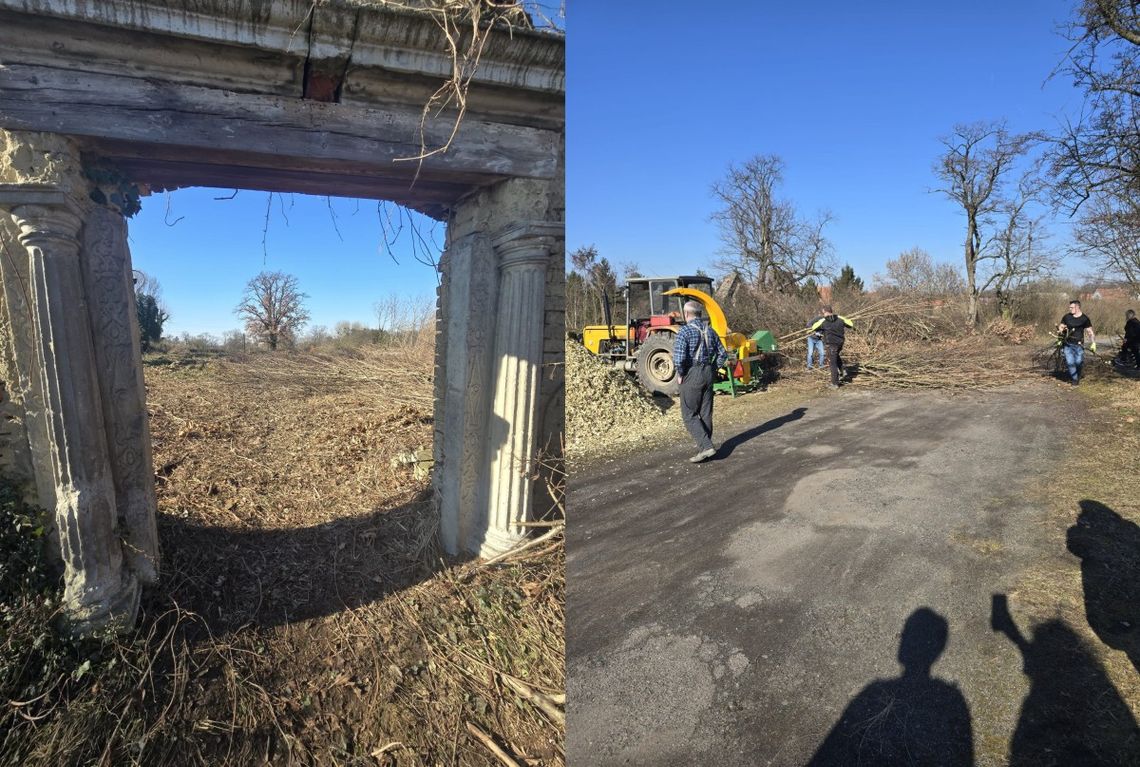 Uporządkowali zabytkowy cmentarz