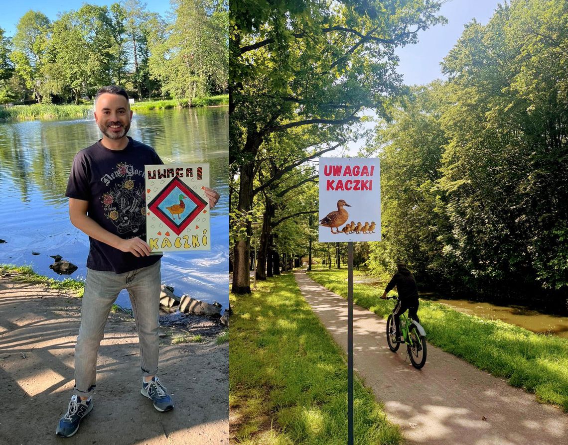 Uwaga, kaczki! Takie tablice pojawiły się nad stawami w parku