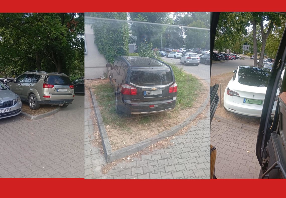 W pogodne dni to się tu powtarza W pogodne dni to się tu powtarza