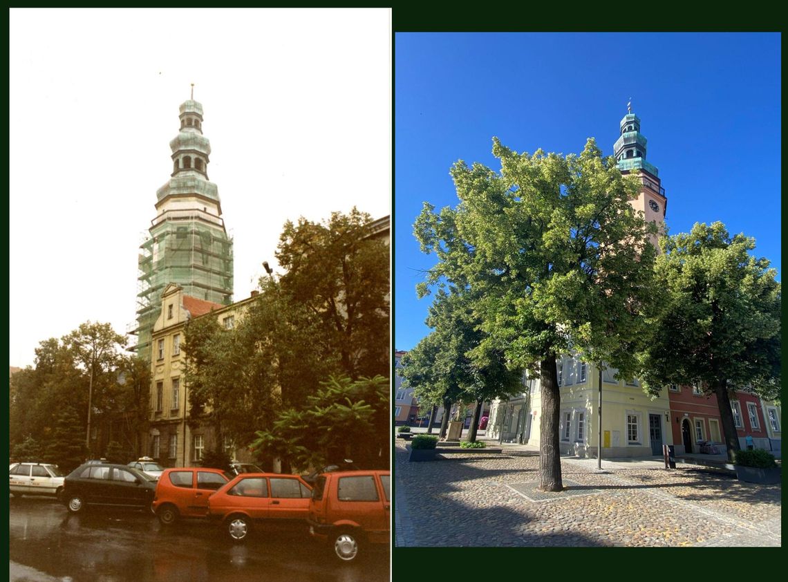 W tym roku mija 100 lat od posadzenia lip wokół ratusza - cz. II W tym roku mija 100 lat od posadzenia lip wokół ratusza - cz. II