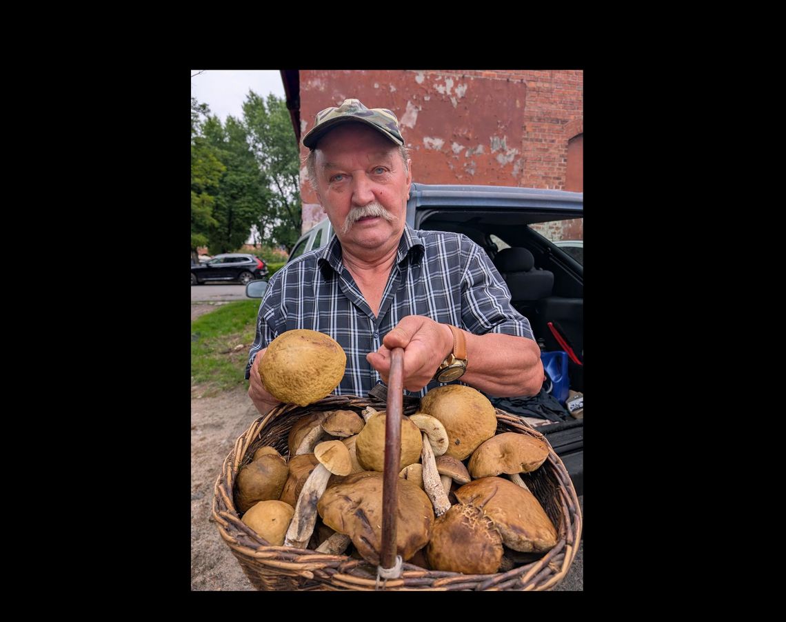 Wczesny sezon na grzybobranie. Naukowcy tłumaczą dlaczego i jak zbierać