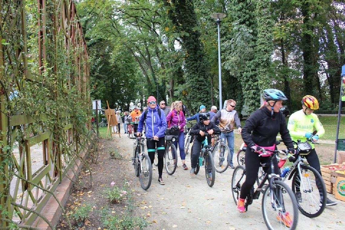 WIADOMOŚCI Z REGIONU: Kolejne ścieżki rowerowe w regionie powstają dzięki samorządowi województwa