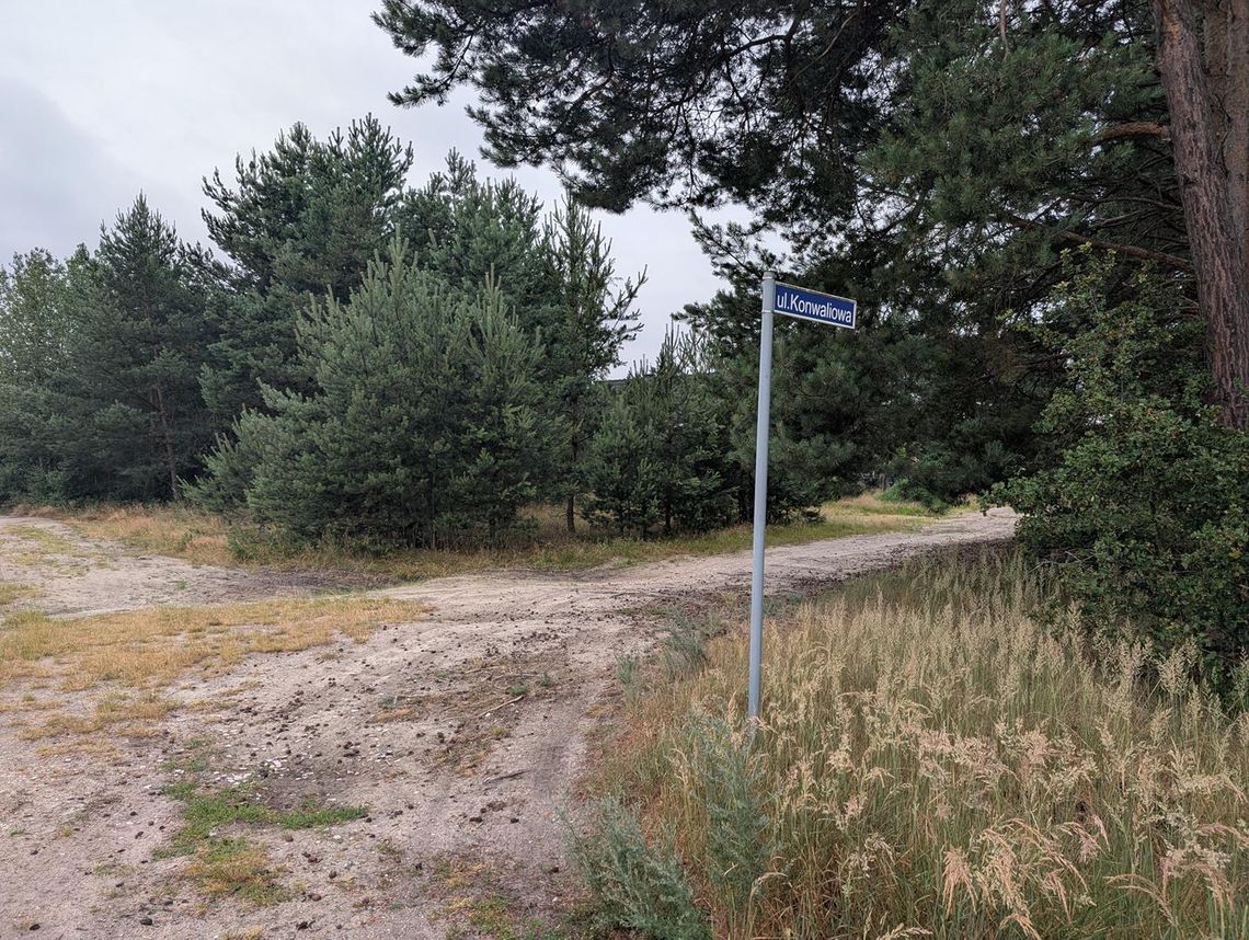 Widzicie? No właśnie. Czytelniczka zgłasza... Widzicie? No właśnie. Czytelniczka zgłasza...