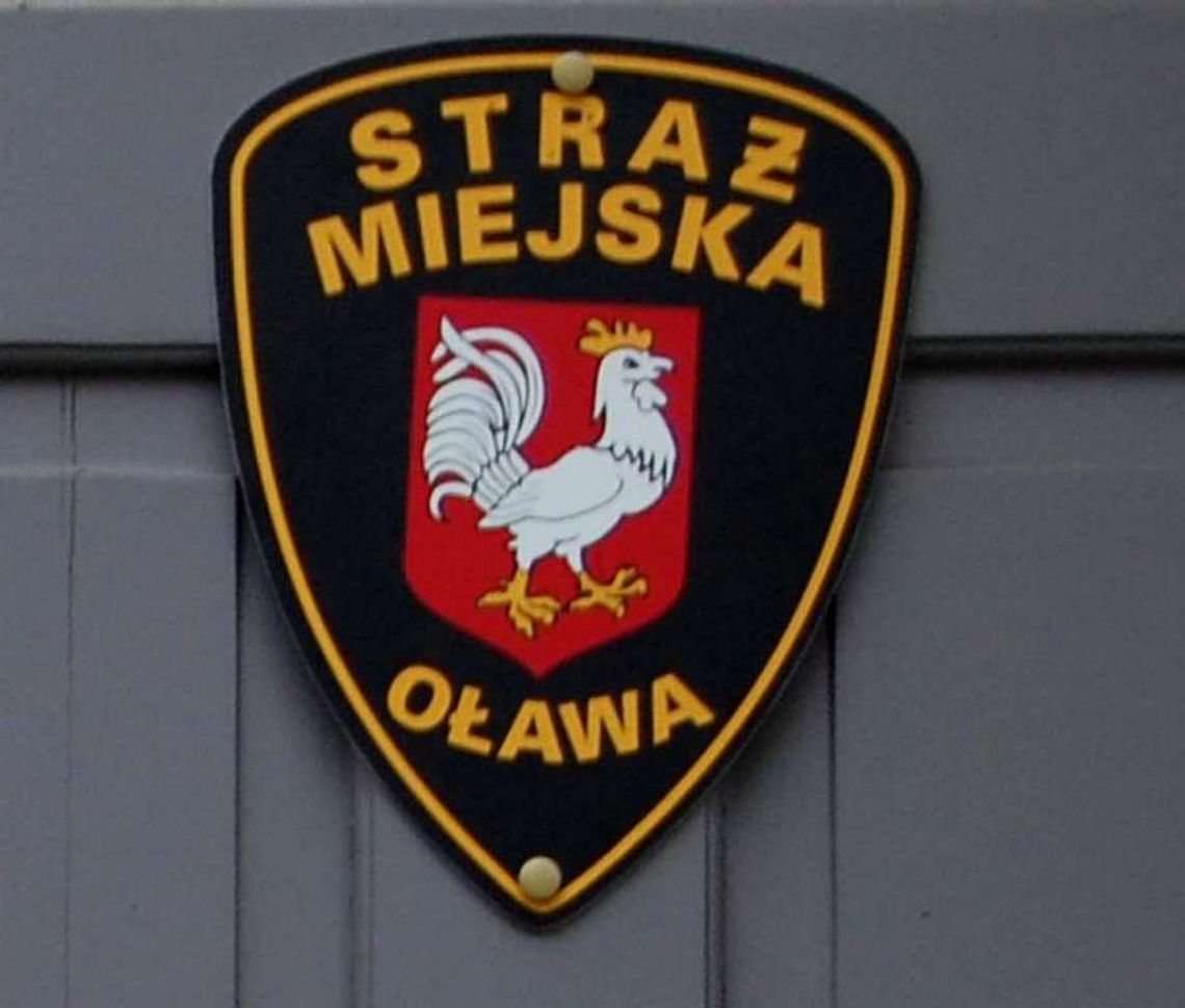 Wiele hałasu o 100 złotych. Straż Miejska nabiera wody w usta