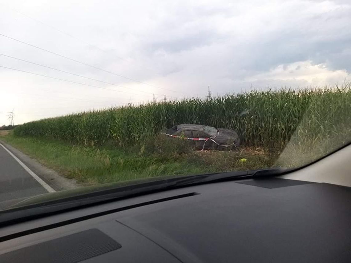 Wjechał w kukurydzę i zniknął 