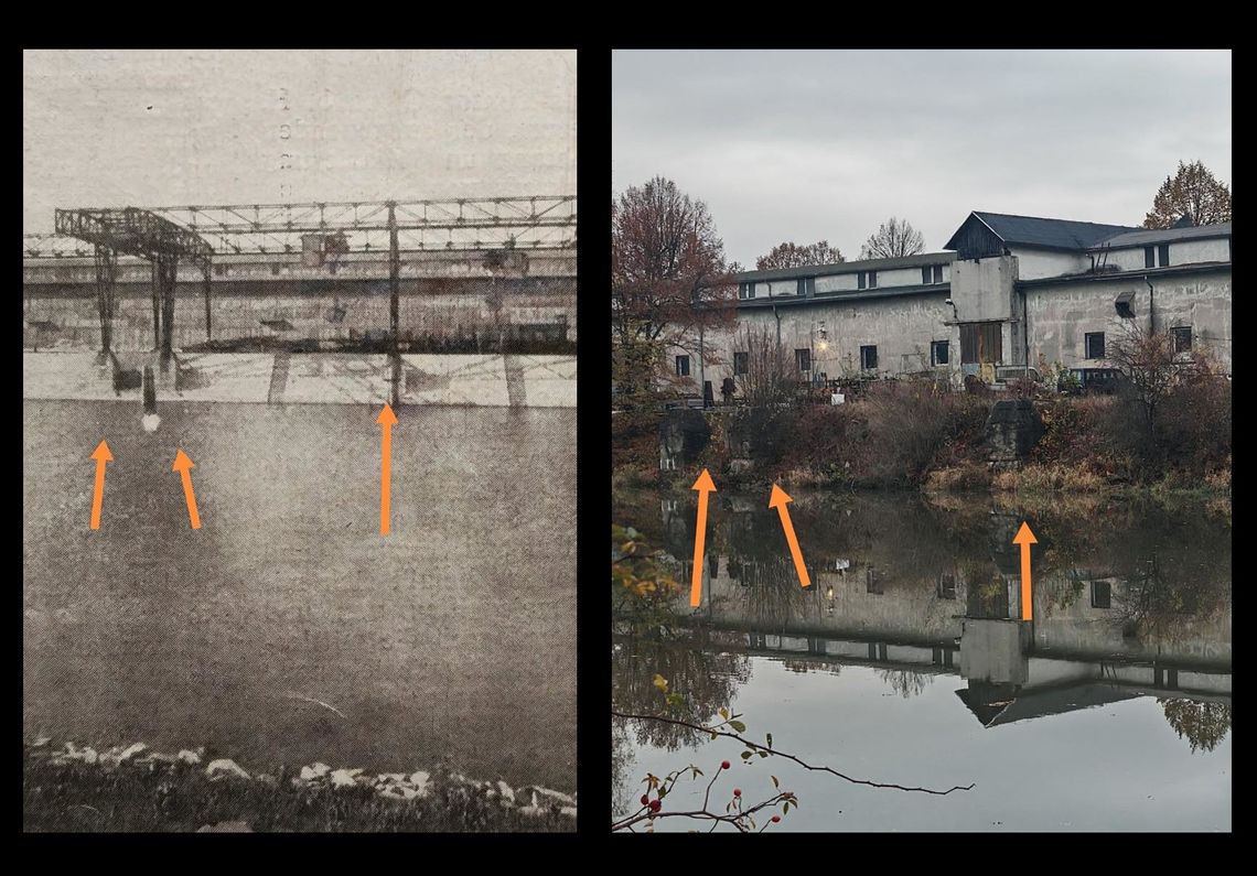 Wojtek Tetlak zaprasza w okolice oławskiego portu nad Odrą Wojtek Tetlak zaprasza w okolice oławskiego portu nad Odrą