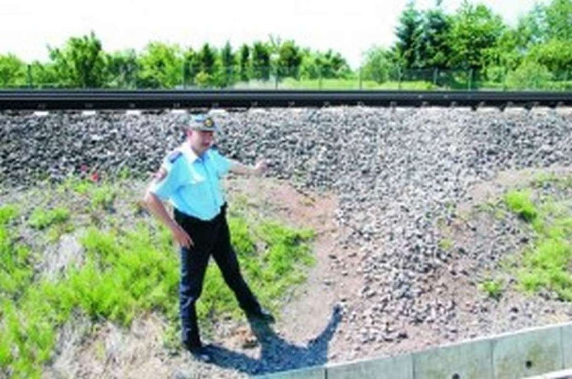 Wydeptują straty i stwarzają zagrożenie