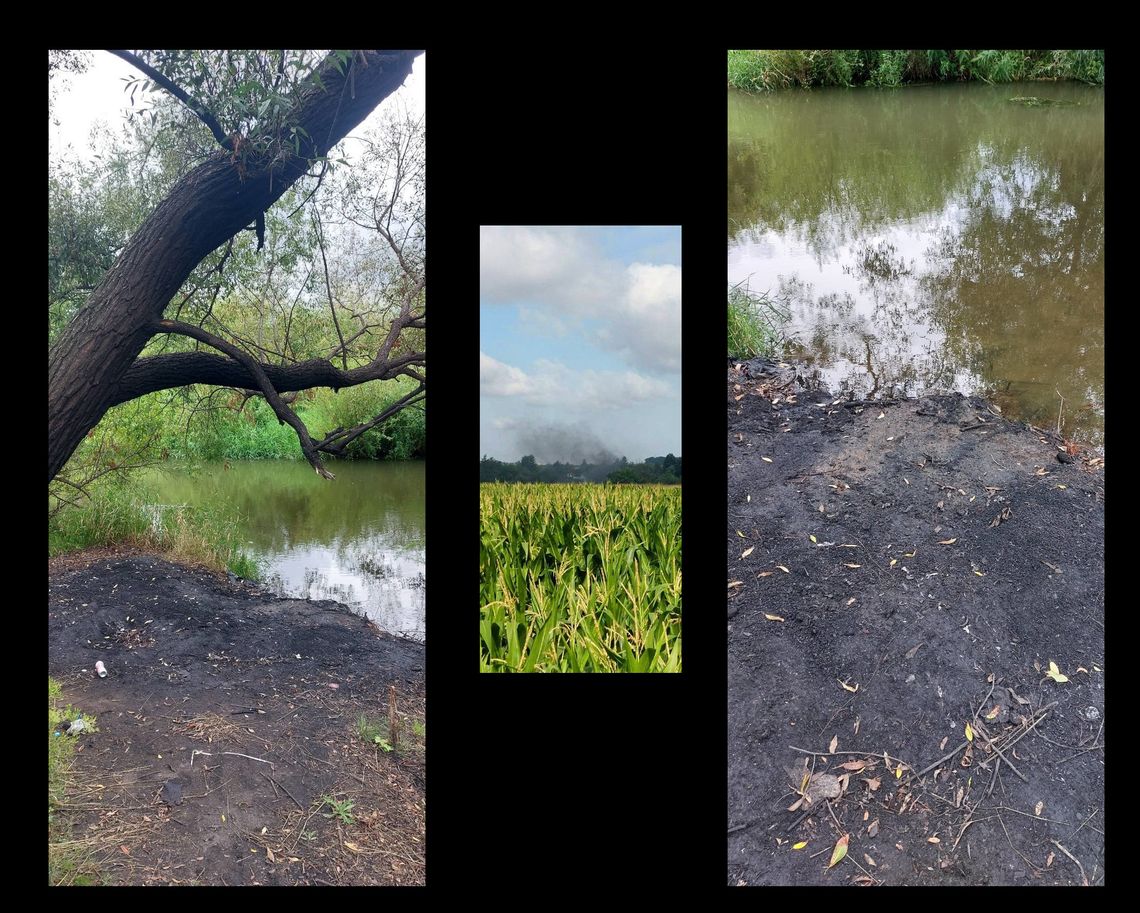 Wypalają kable, a resztki... do rzeki!