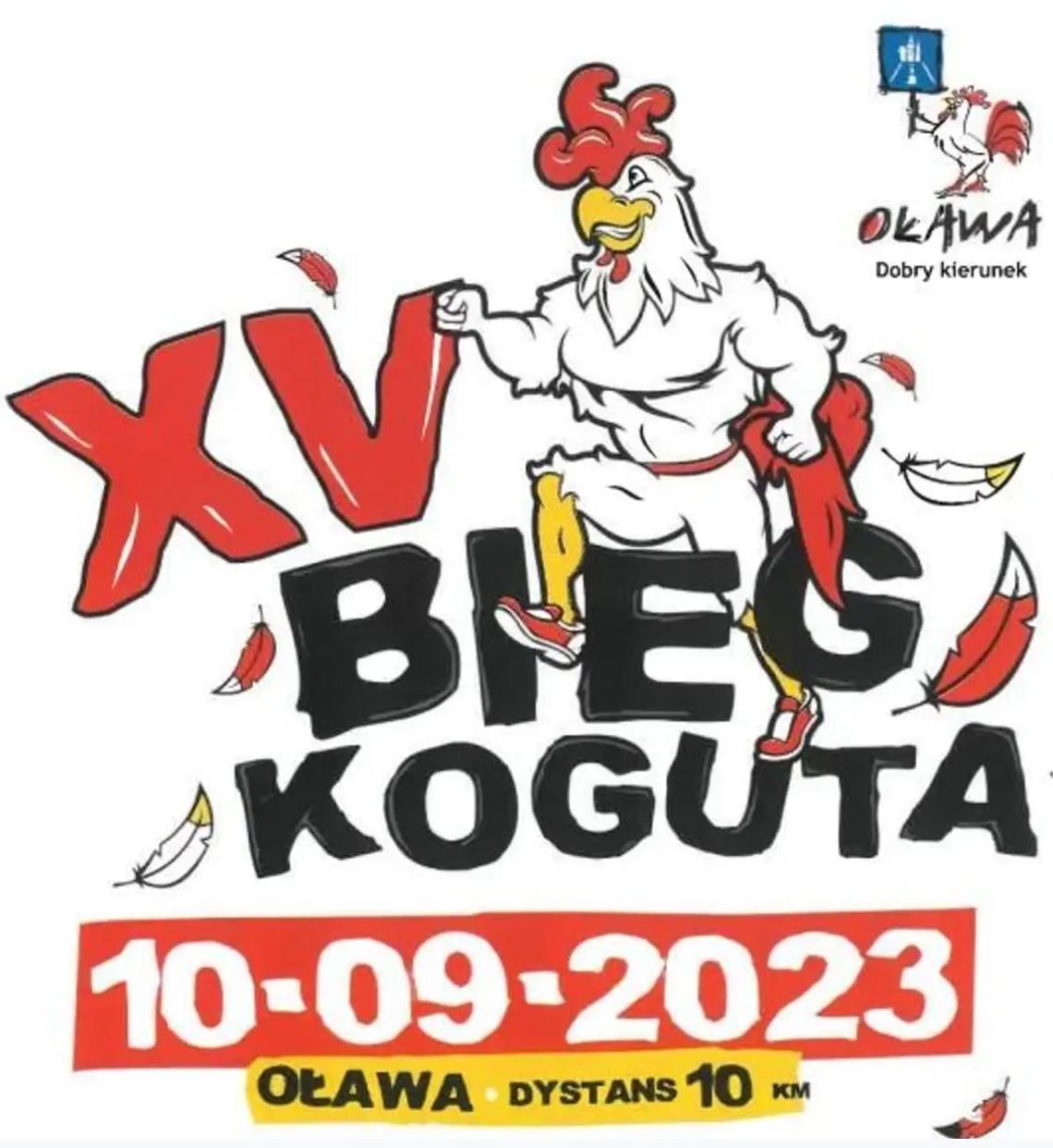 XV Biegu Koguta startuje dziś o godzinie 11.00 XV Biegu Koguta startuje dziś o godzinie 11.00