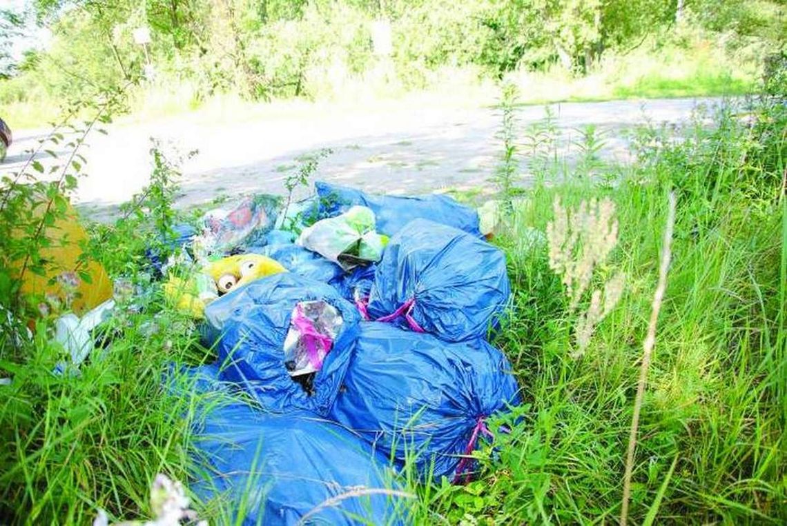 Za śmieci - od głowy Za śmieci - od głowy