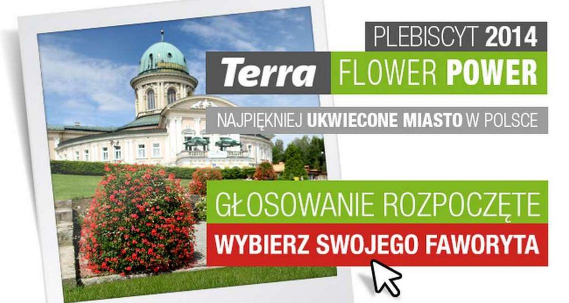 Zagłosuj na Oławę Zagłosuj na Oławę