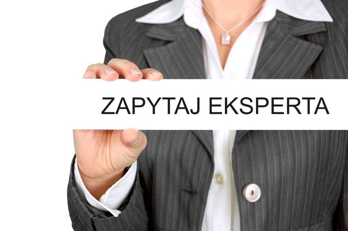 Zamiast szukać w sieci – zapytaj eksperta ZUS