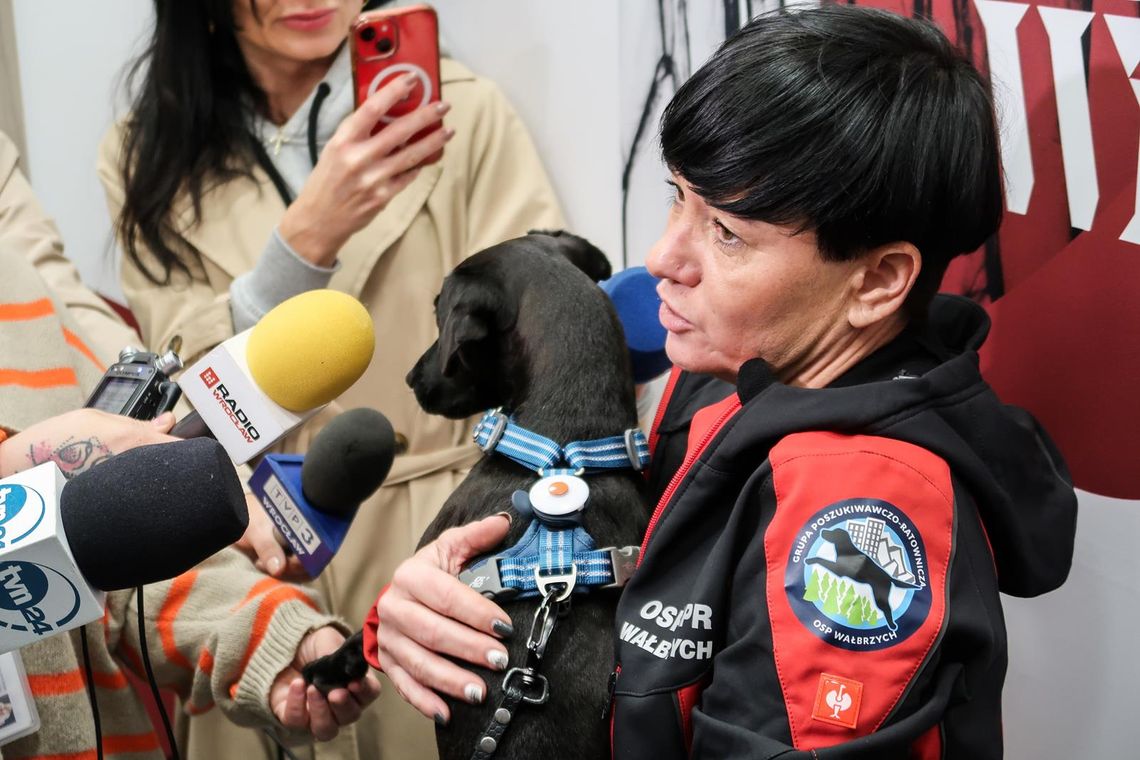 Zaopiekują się psimi ratownikami. Za darmo!