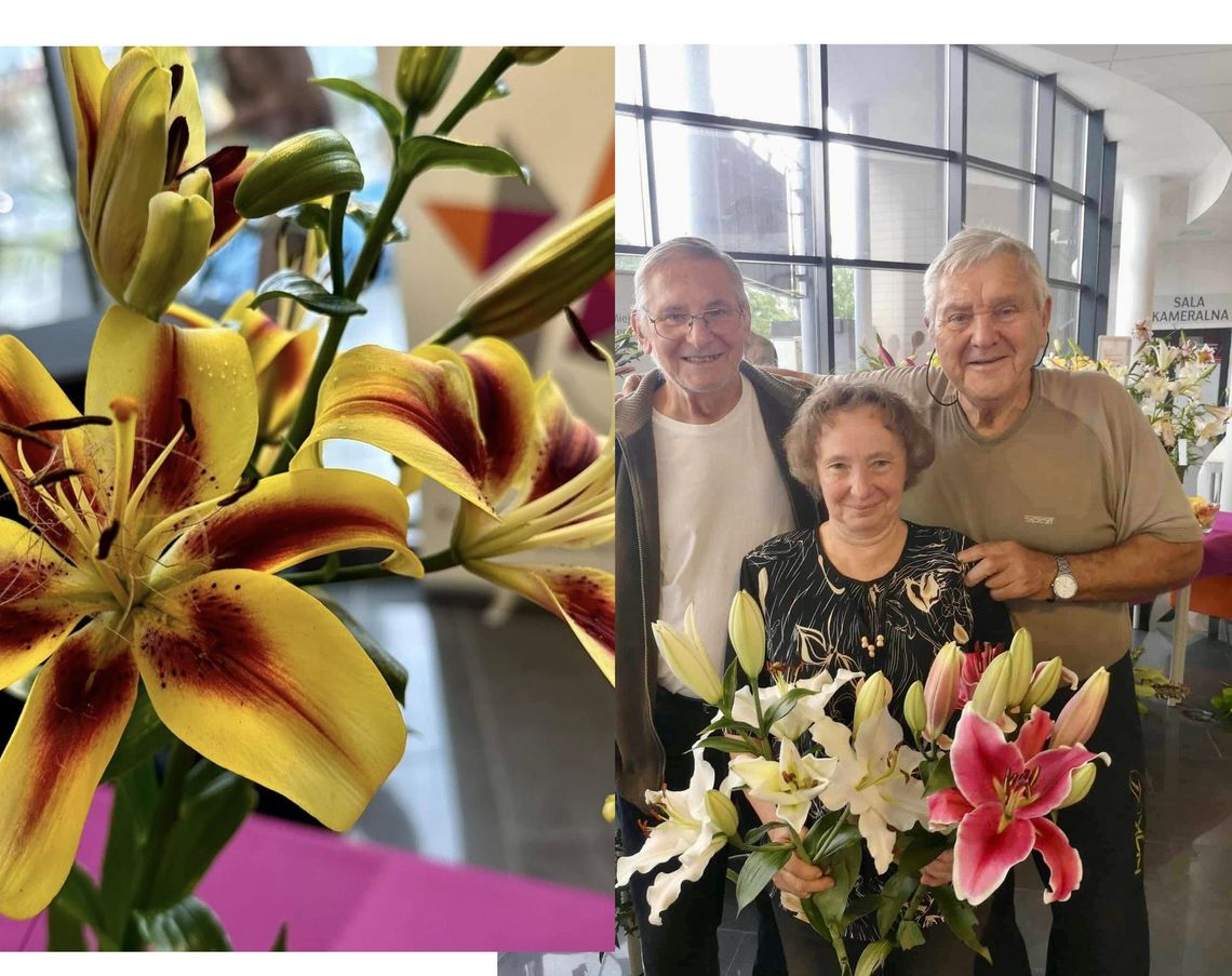 Zapraszamy do uwodzicielskiego świata lilii