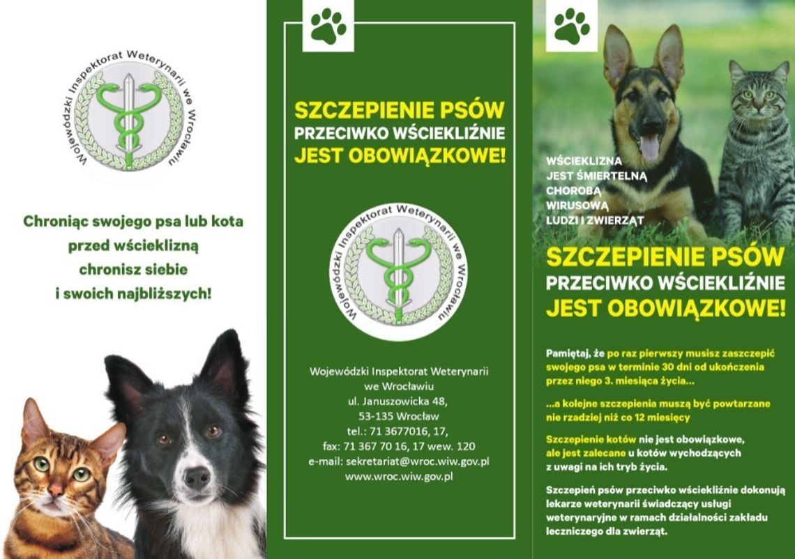 Zaszczep swojego pupila – ochronisz siebie