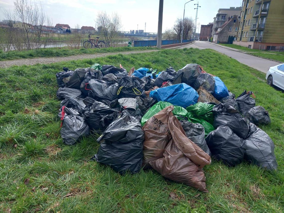 Zebrali na brzegu Odry około tony śmieci