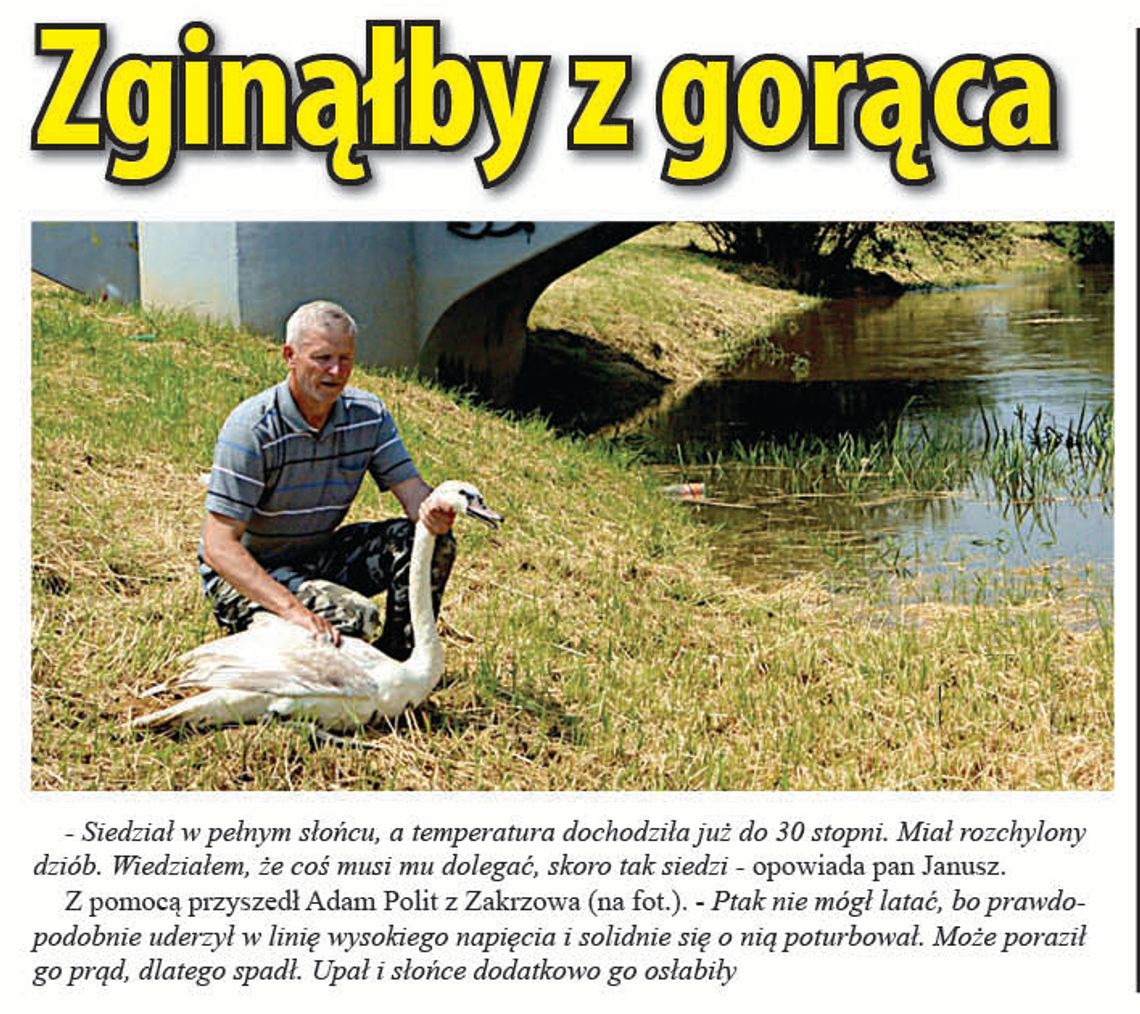 Zginąłby z gorąca