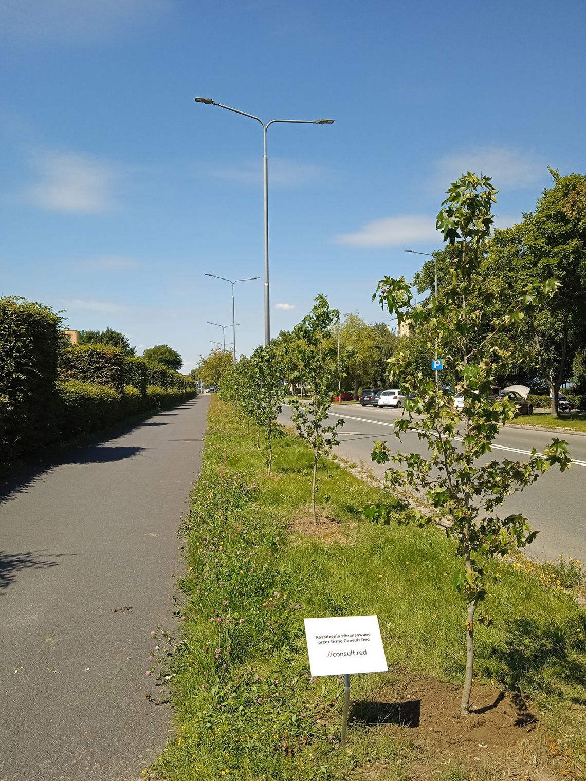 Zieleń na plan, czyli kolejne nasadzenia w Oławie Zieleń na plan, czyli kolejne nasadzenia w Oławie