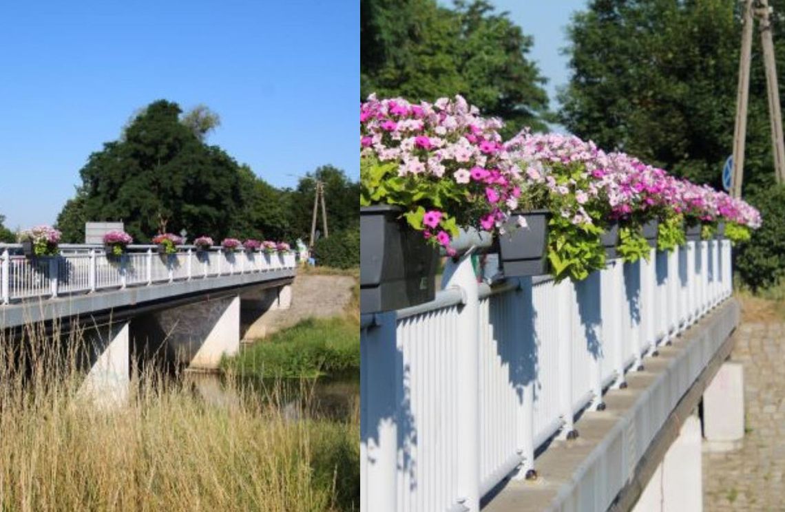 Zielona strona Oławy. Jest taka? (1) Zielona strona Oławy. Jest taka? (1)