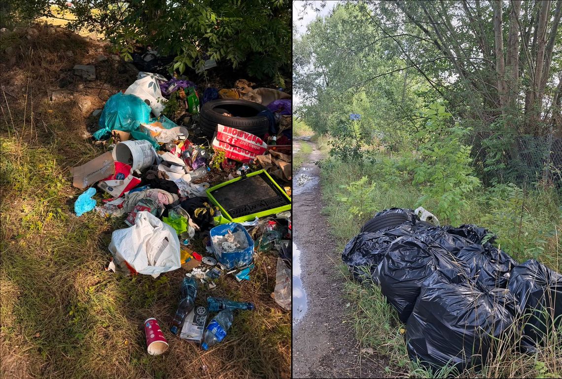 Znaleźli sprawcę. Udana akcja strażników. Śmieci pozbierane Znaleźli sprawcę. Udana akcja strażników. Śmieci pozbierane