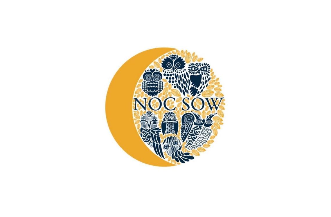 Zobacz i usłysz sowy!