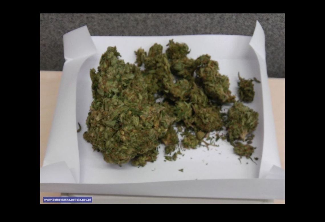 Zobaczyli policję i spanikowali. Wpadli z marihuaną