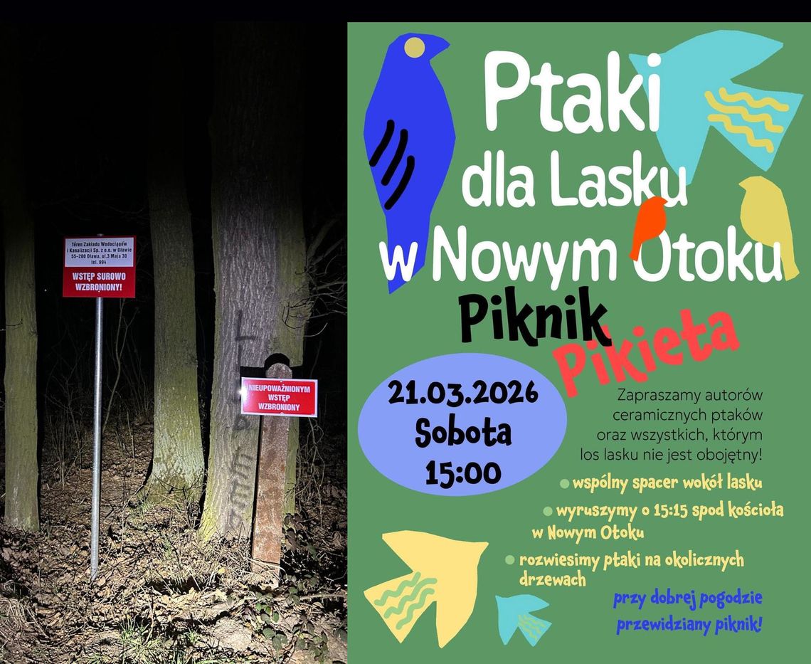 ZWiK stawia tabliczki na obrzeżach słynnego "lasku" ZWiK stawia tabliczki na obrzeżach słynnego "lasku"