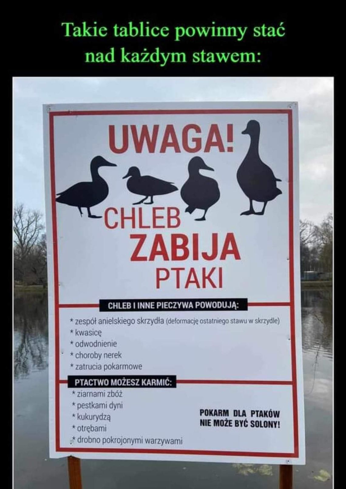 Zwróciłam paru osobom uwagę, ale sytuacja się powtarza...