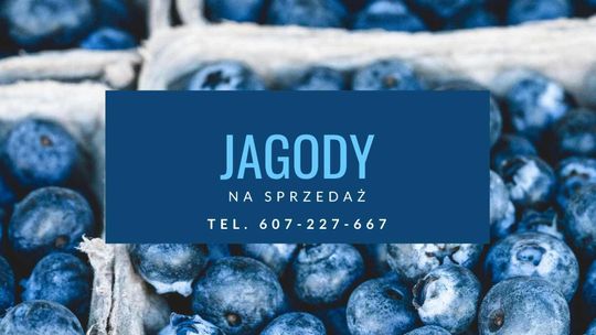 Sprzedam Jagody