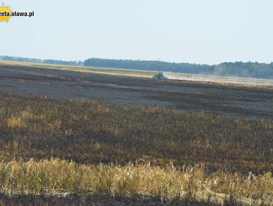 Ogromny pożar pola. ZOBACZ VIDEO