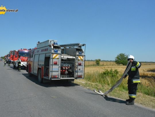 Ogromny pożar pola. ZOBACZ VIDEO