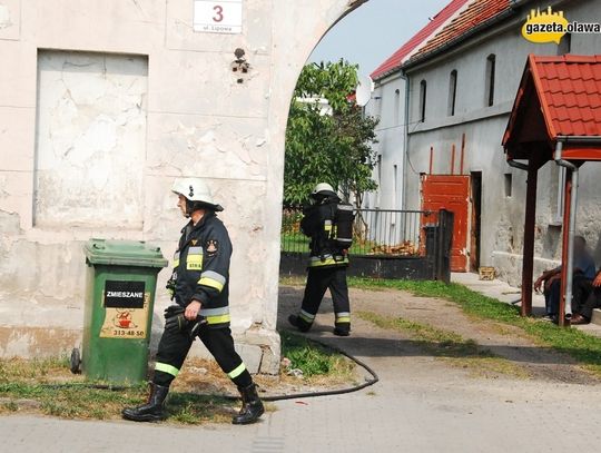 Pożar wśród śmieci