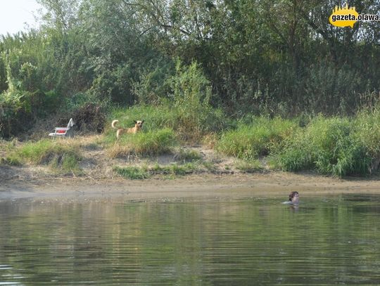 Odrą do Brzegu. Zobacz zdjęcia