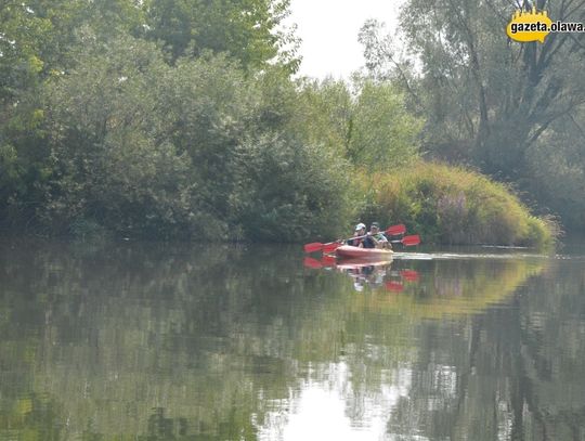 Odrą do Brzegu. Zobacz zdjęcia