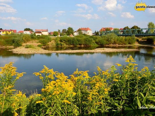 Piękny i pachnący zwiastun jesieni