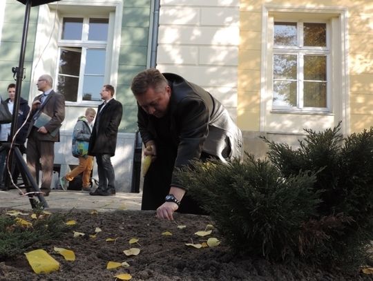 Pola Nadziei znów zakwitną żonkilami