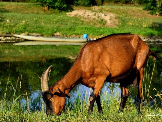 Różne odsłony jesieni w powiecie