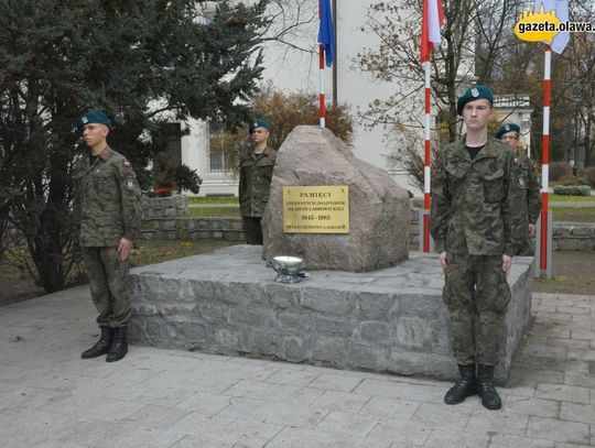 Kolorowa i radosna - Polska niepodległa