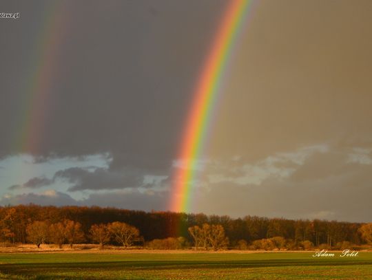 Podwójna i piękna