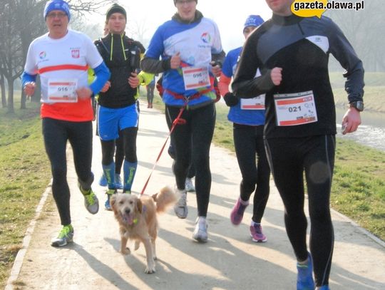 Tropem wilczym. Pobiegli dla wyklętych. ZDJĘCIA, VIDEO