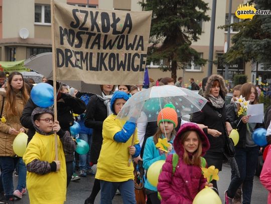 Żonkile zdążyły zakwitnąć