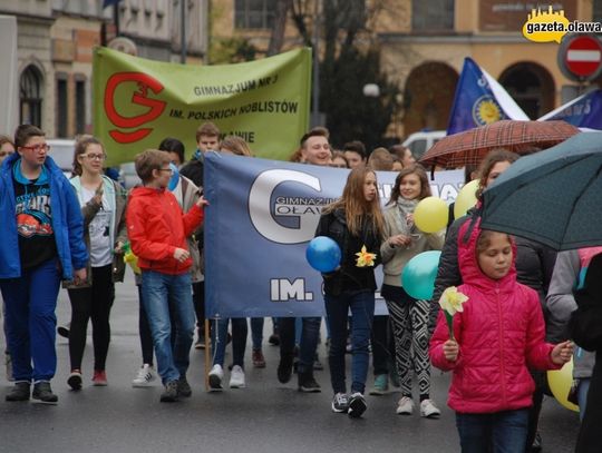 Żonkile zdążyły zakwitnąć