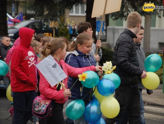 Żonkile zdążyły zakwitnąć