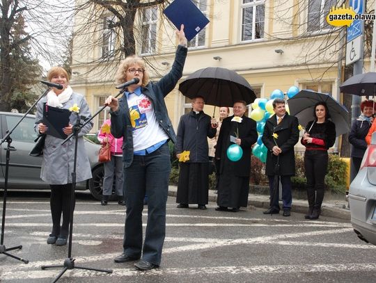 Żonkile zdążyły zakwitnąć